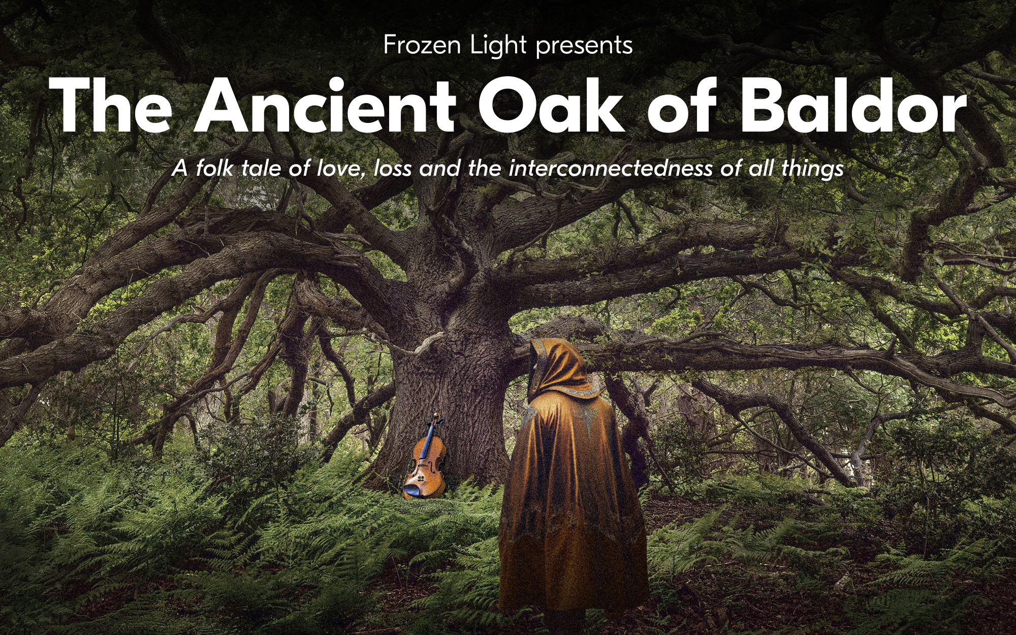 The Ancient Oak of Baldor