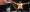 Goldoni-Production--6 Goldoni-Production--6