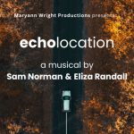 Echolocation: A birds-eye view of a forest with golden yellow trees and a black road running down the middle with a silver car driving, and an abstract line of soundwaves coming out the bottom of the car.